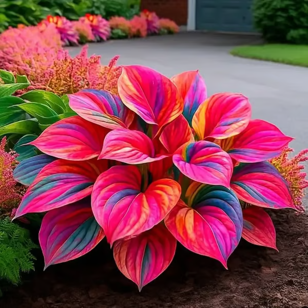 /69d723a08ef39a000a9977d3/2026/04/14/product-img-69ddedeff707c0639afa4779.png