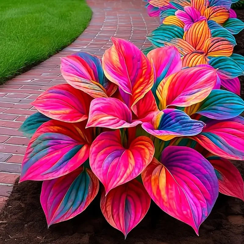 /69d723a08ef39a000a9977d3/2026/04/14/product-img-69ddedeff707c0639afa4783.png