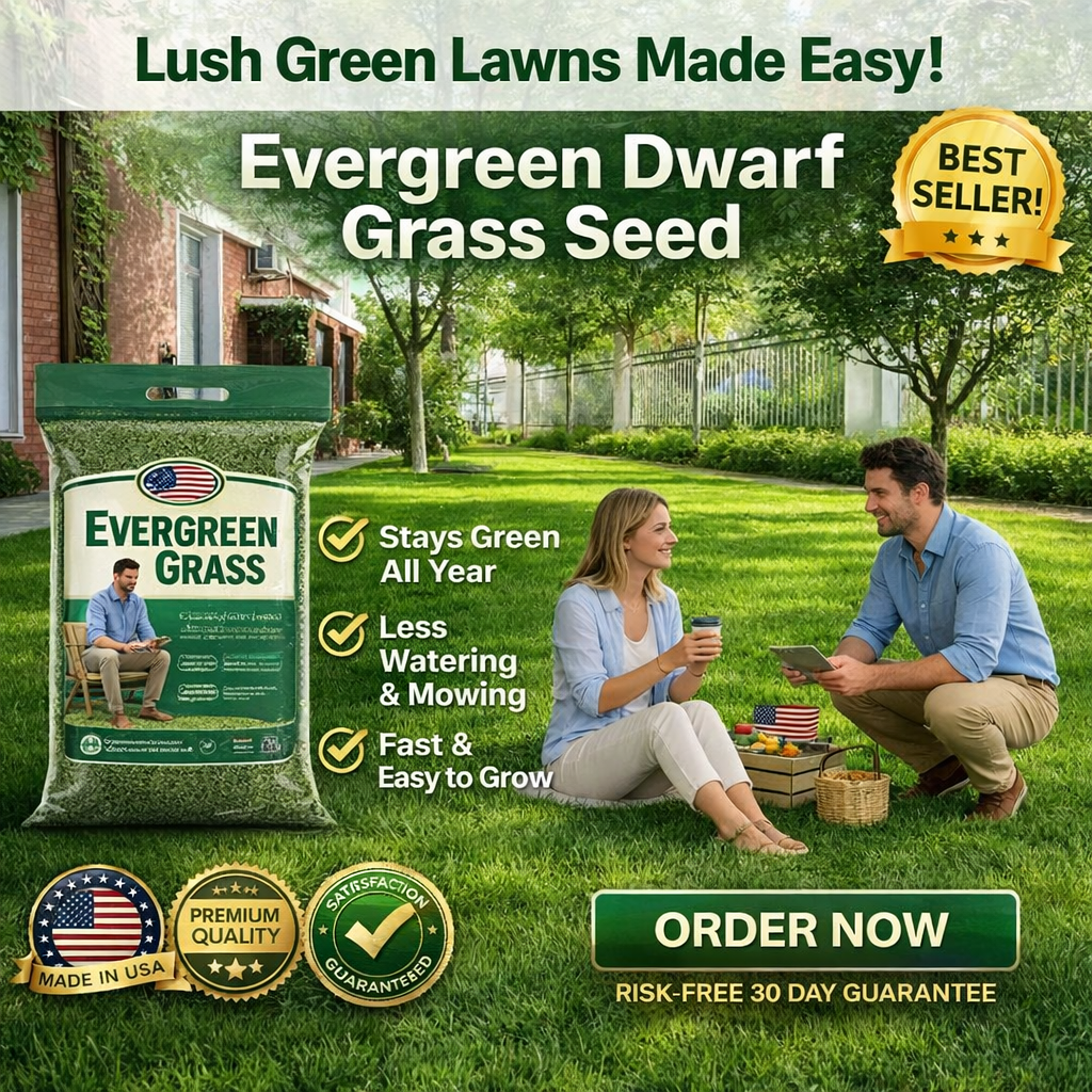 /69d723a08ef39a000a9977d3/2026/04/16/product-img-69e11e0c373c02bd69cc0866.png