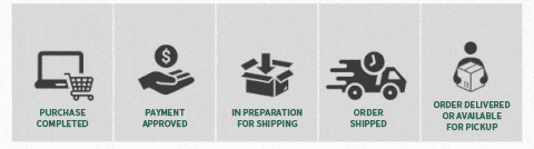 🎁Hot Sale 49% OFF🔥🌱Premium Cornflower Seeds – The "Unstoppable" Wildflower That Grows Anywhere